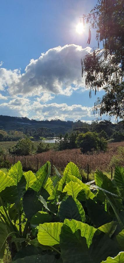 Loft No Campo Proximo Ao Vale Dos Vinhedos Villa Garibaldi Kültér fotó
