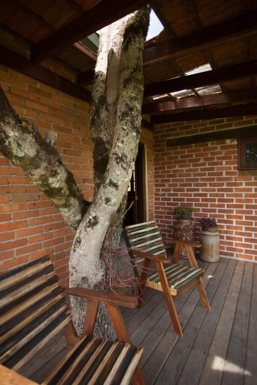 Loft No Campo Proximo Ao Vale Dos Vinhedos Villa Garibaldi Kültér fotó