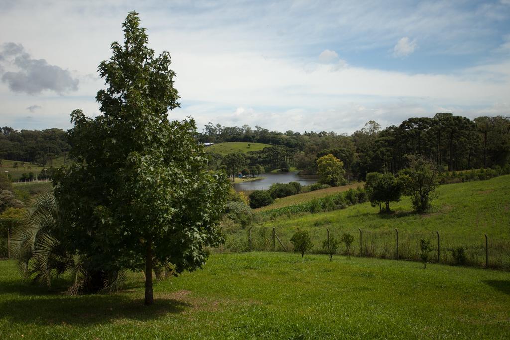 Loft No Campo Proximo Ao Vale Dos Vinhedos Villa Garibaldi Kültér fotó